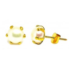 10K (416) Yellow Gold Pearl Stud Earrings for Women and Girls